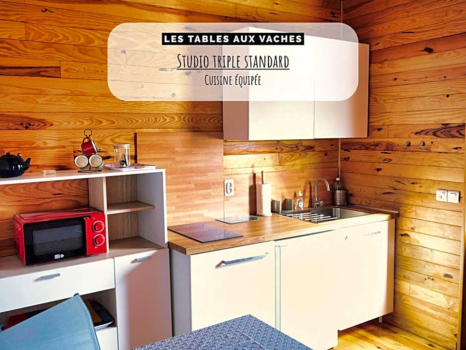 La Salvetat - Studios de vacances - Les Tables Aux Vaches