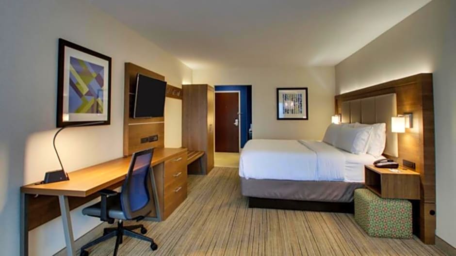 Holiday Inn Express Hotel & Suites Mount Pleasant