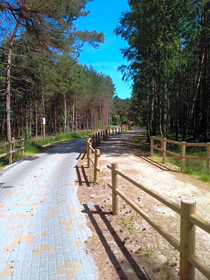 Niezapominajka Kopalino