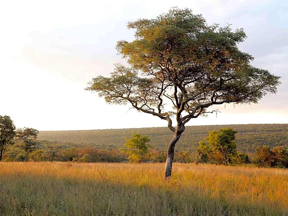 Lindani Game and Lodges