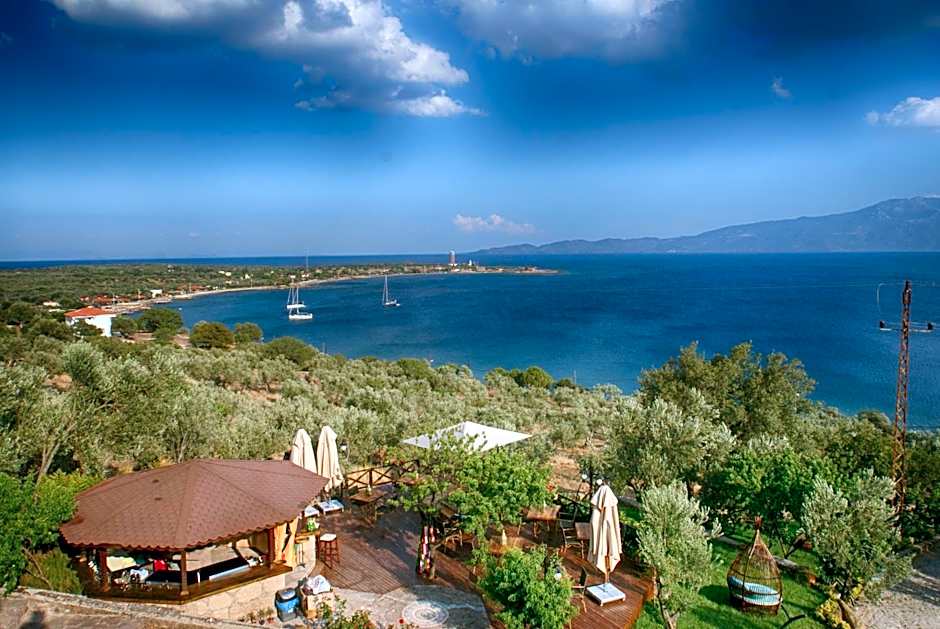 Assos Dionysos Special Class Hotel Adults Only 12 years