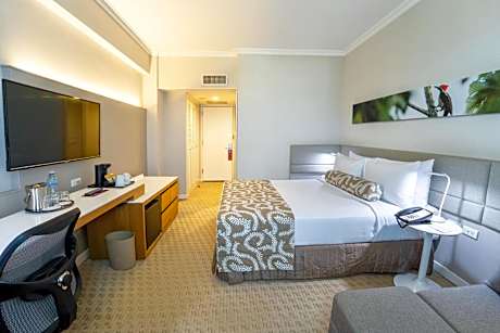 Standard Queen Room with Mountain View