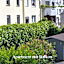 Hotel-garni-Kachelburg