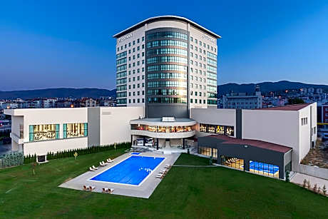 Dedeman Tokat