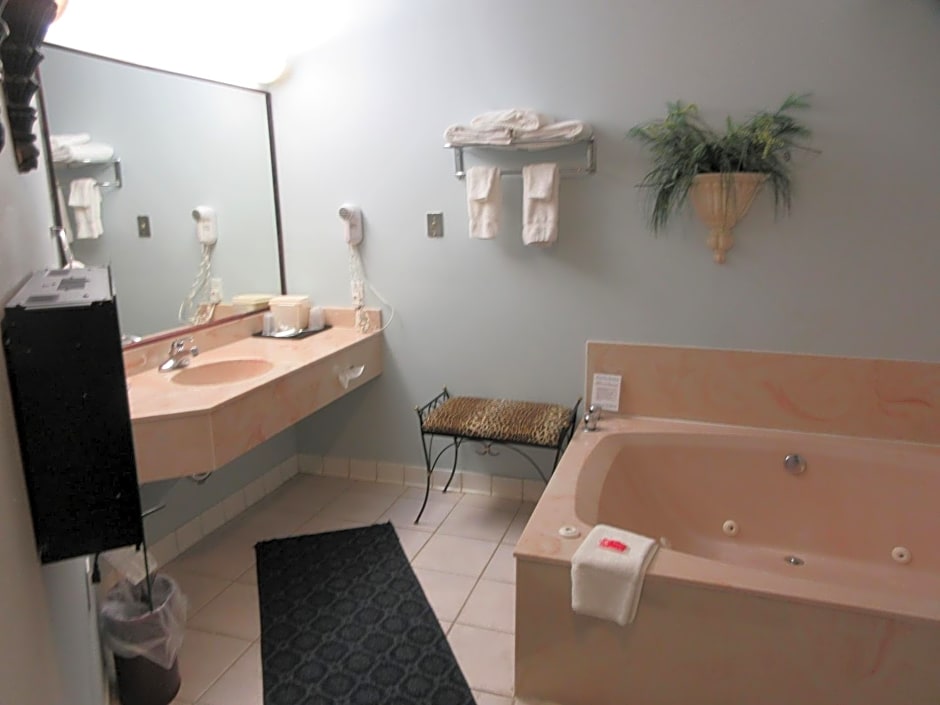Econo Lodge Inn & Suites