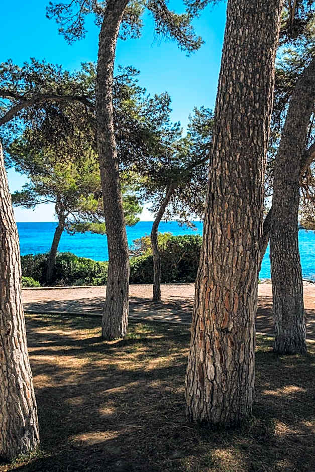 Iberostar Waves Pinos Park