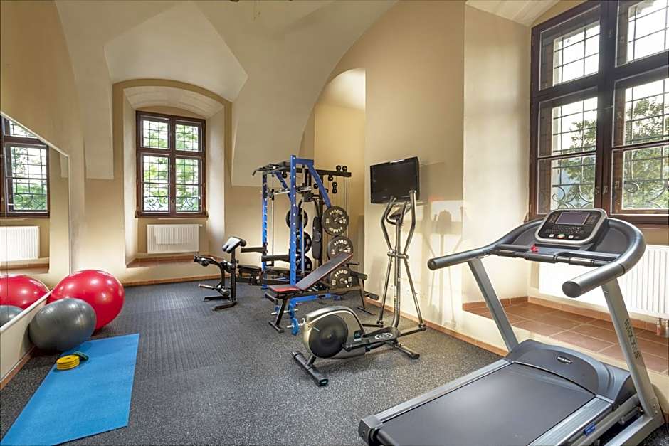 Hotel Gino Park Palace - Kaštieľ Orlové