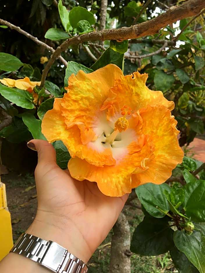 Pousada Bella Geriba Buzios