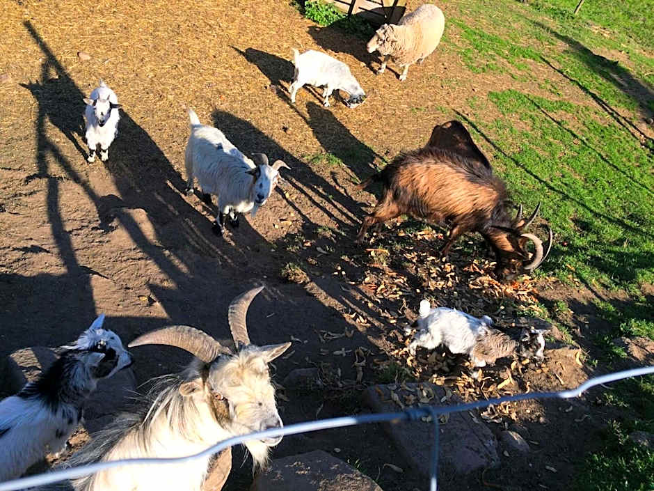 Hôtel Restaurant Domaine De Basil