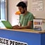 Blue Pepper Hostel Chapultepec