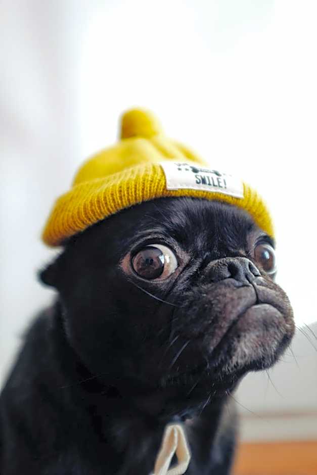 Jetty Motel The Entrance