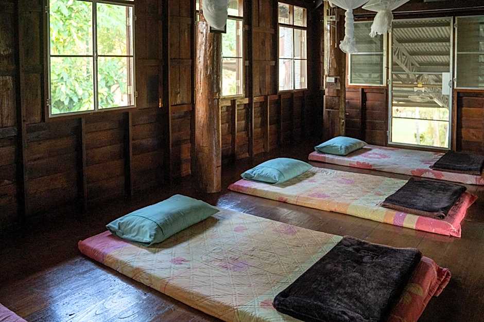Art House at Chiangdao - Waterlily House