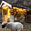Hotel Larch