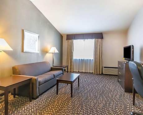 1 King Bed Efficiency Suite Nonsmoking