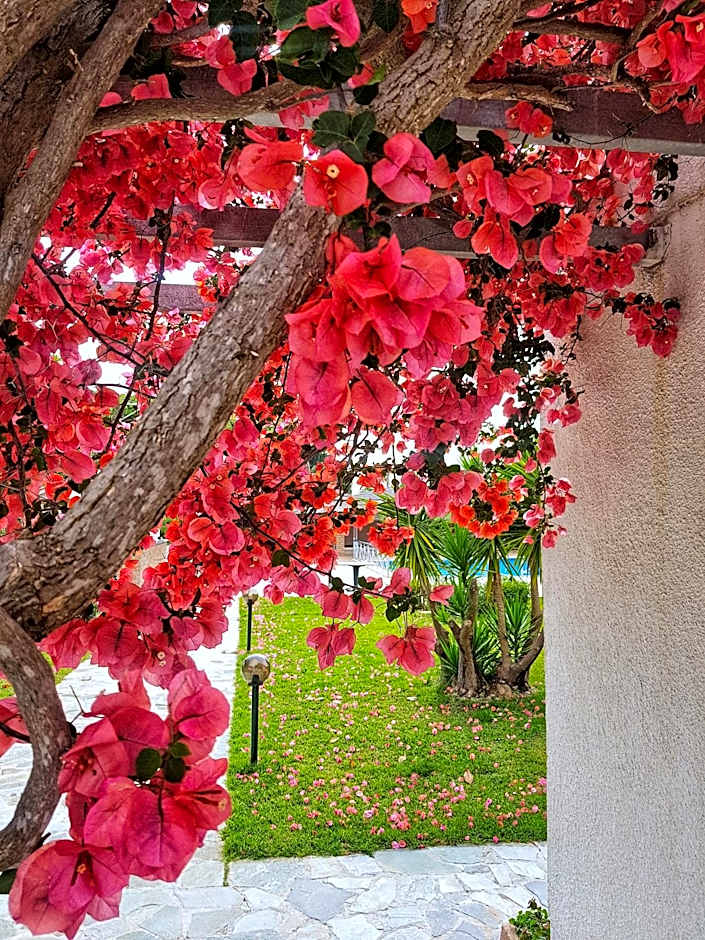 Hotel Kalamitsi Apartments