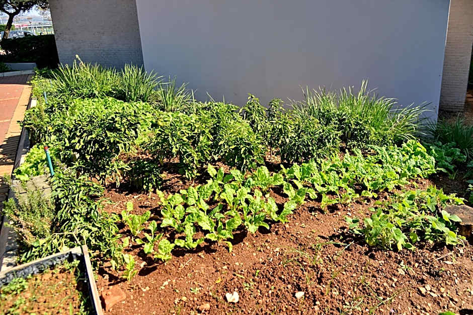 City Lodge Hotel Johannesburg Airport Barbara Road