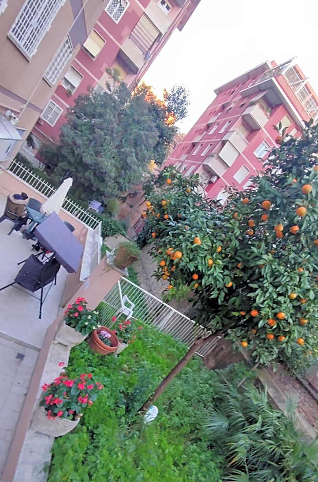 VATICAN GREEN GARDEN