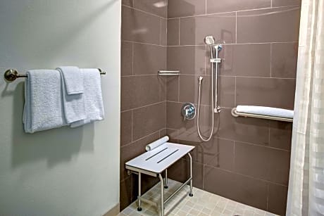 ACCESSIBLE 2 QUEEN ROLL-IN SHOWER