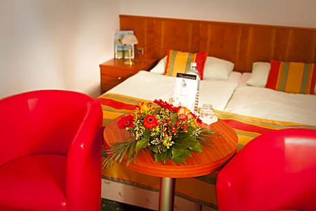 Double Room - Single Use