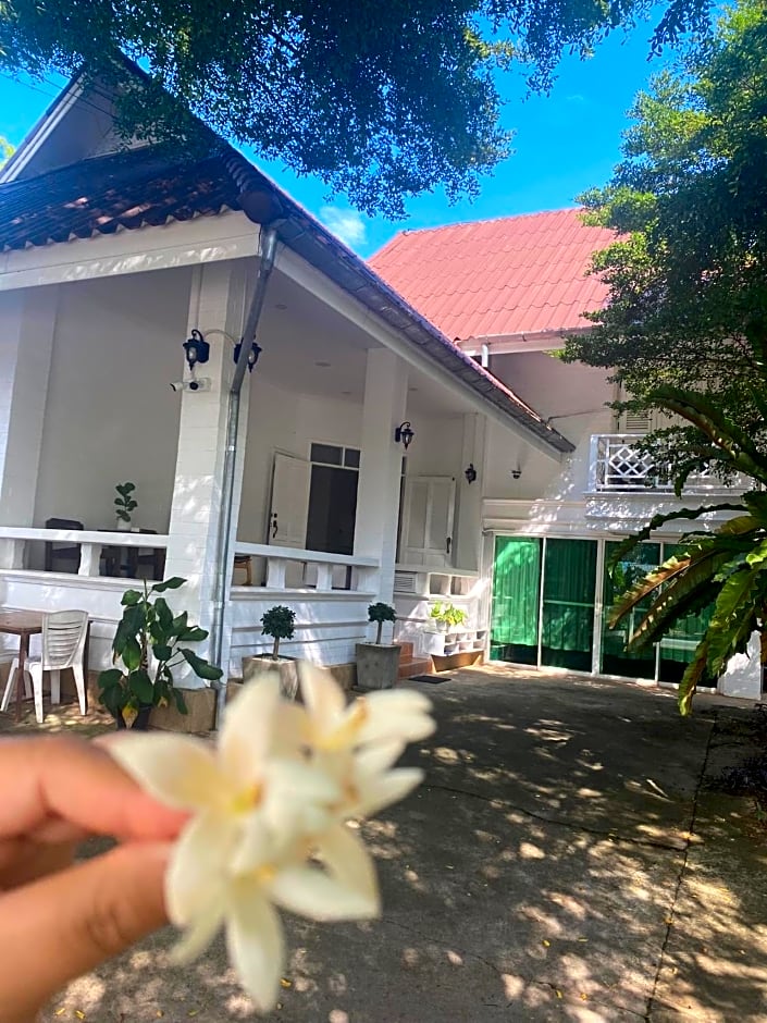 Whitehouse cafe&Guesthouse