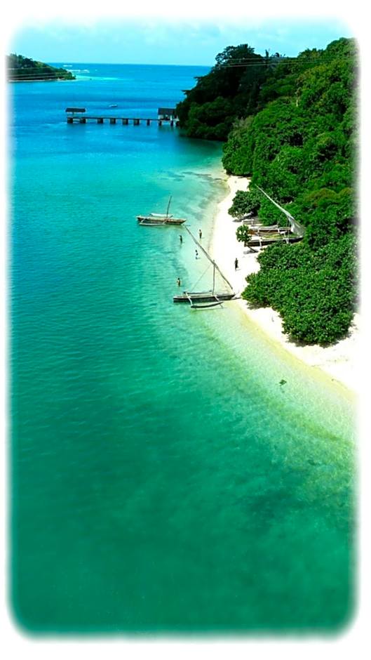 Distant Relatives Ecolodge & Backpackers