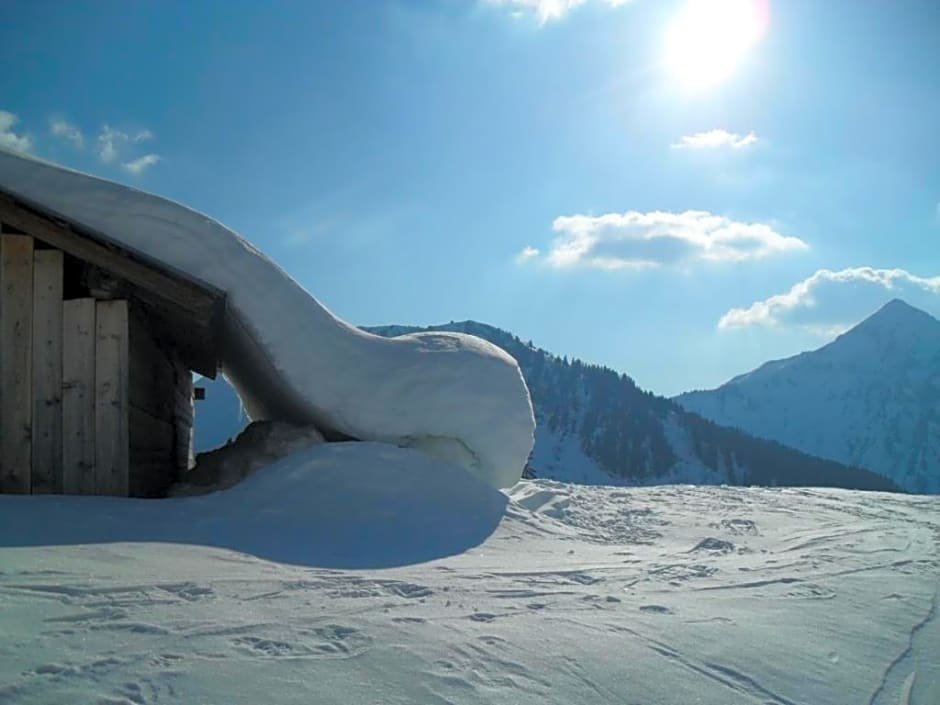 Hotel Alpina