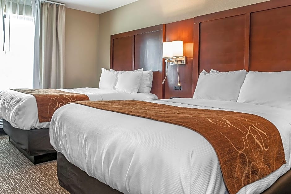 Comfort Suites Rensselaer near Fair Oaks