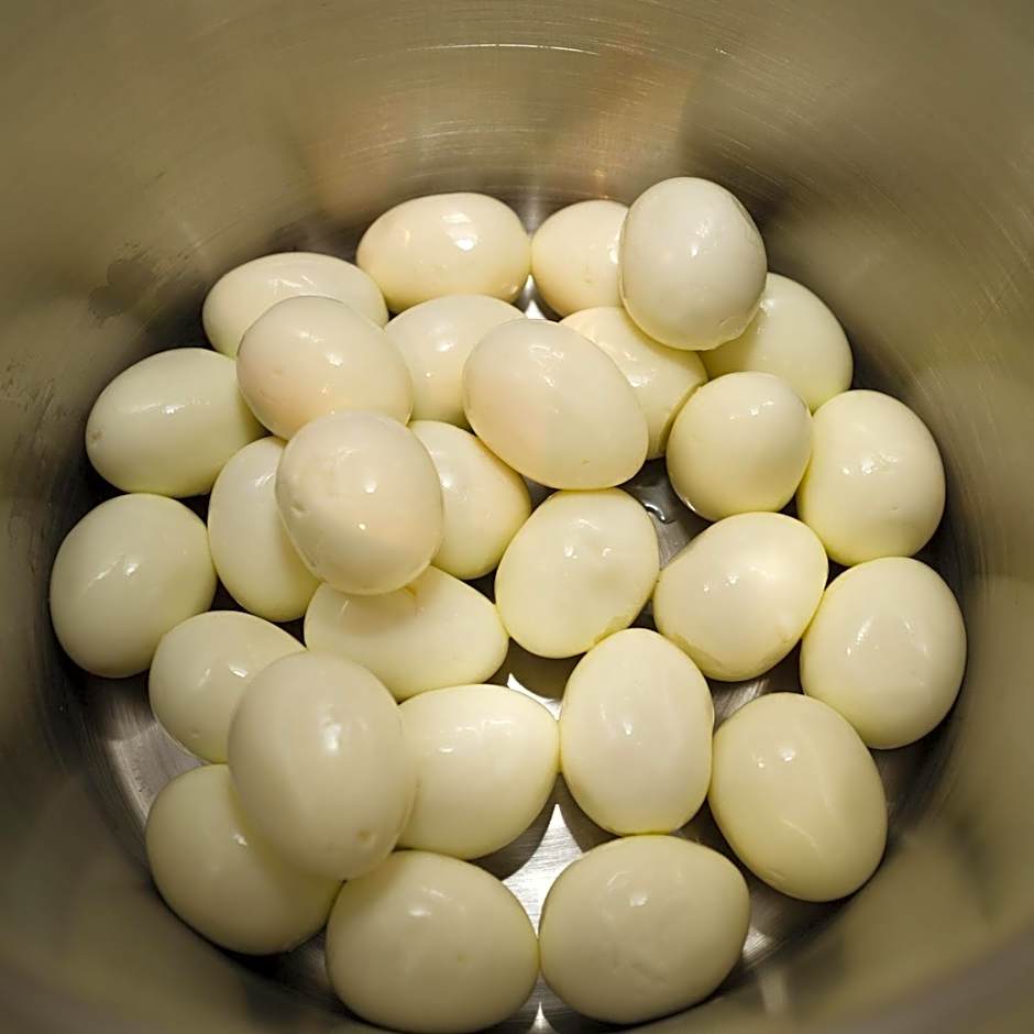 Robin Hood Inn and Suites