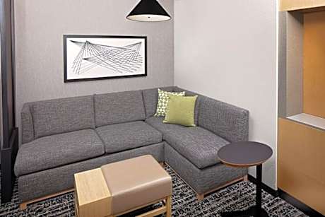 One-Bedroom King Suite with Sofa Bed