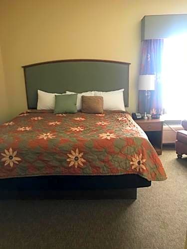 Randolph Inn and Suites