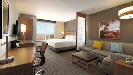 Accessible View | King Bed / Shower (plus sofa bed)