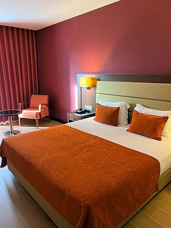 Palace Hotel & SPA Termas do Bicanho