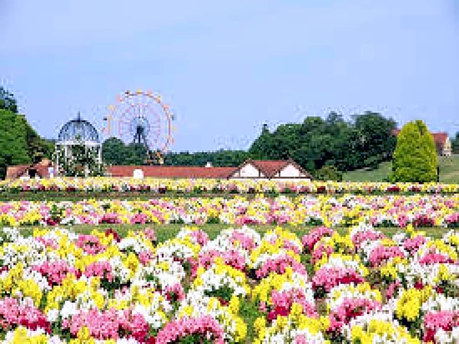 Hotel Royal Garden Kisarazu / Vacation STAY 72216