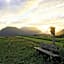 Seelos - Alpine Easy Stay - Bed & Breakfast