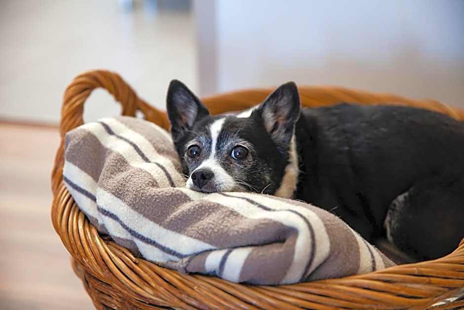 Kingaroy Country Motel