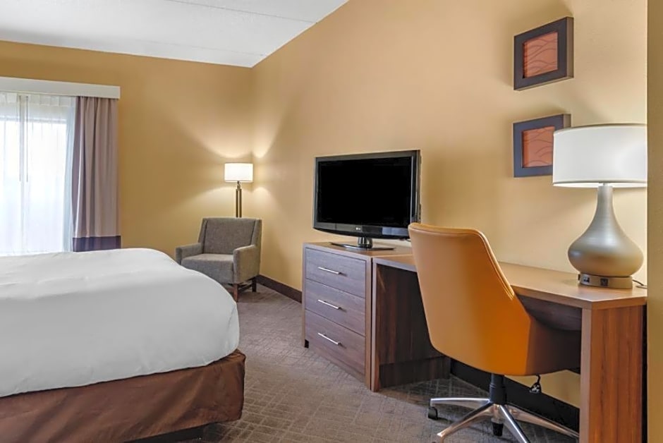 Comfort Inn & Suites At Stone Mountain