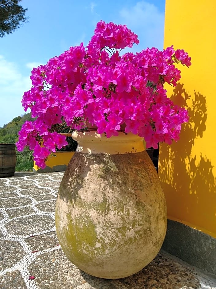 Agriturismo Costa di Campo