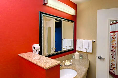 One-Bedroom King Suite with Sofa Bed