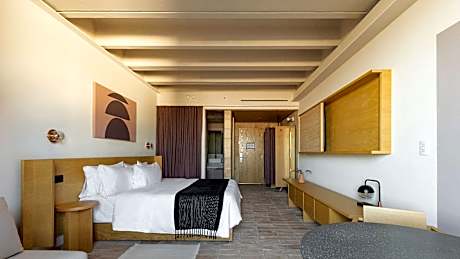 1 King Bed