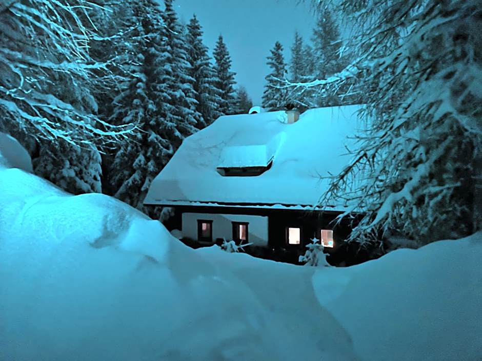 Familienhotel Steindl