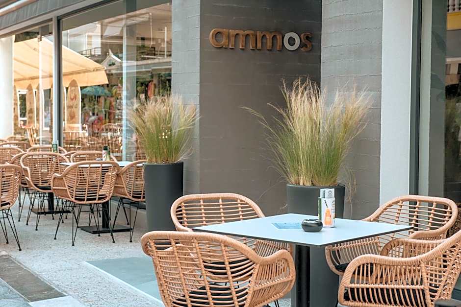 Ammos Beach Seaside Luxury Suites Hotel