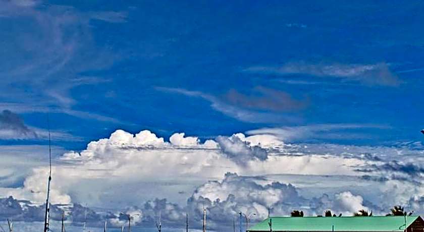 Tiger shark Residence 
