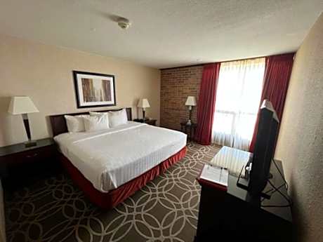 One-Bedroom Suite