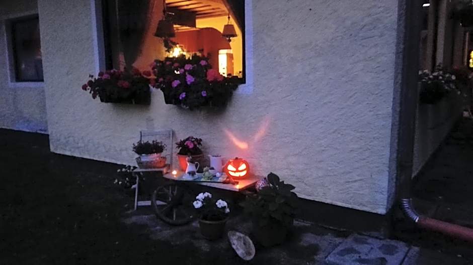 Apartment House Seerose self check-in