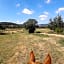 Ferme de la Combe - The Goldy's Farm