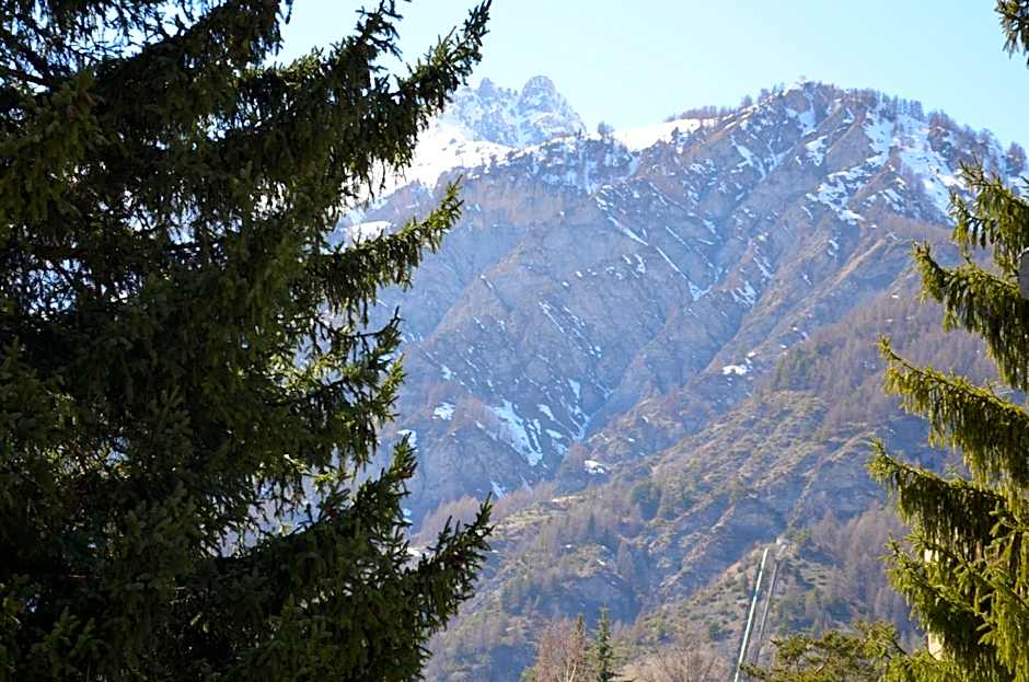 Hotel Rosa Serenella