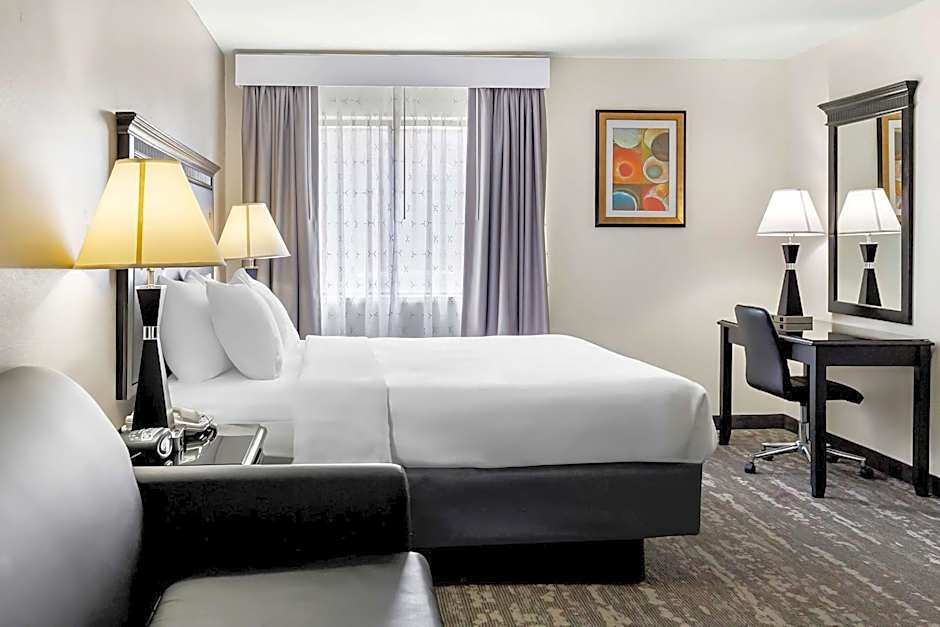 Best Western Saluki Inn