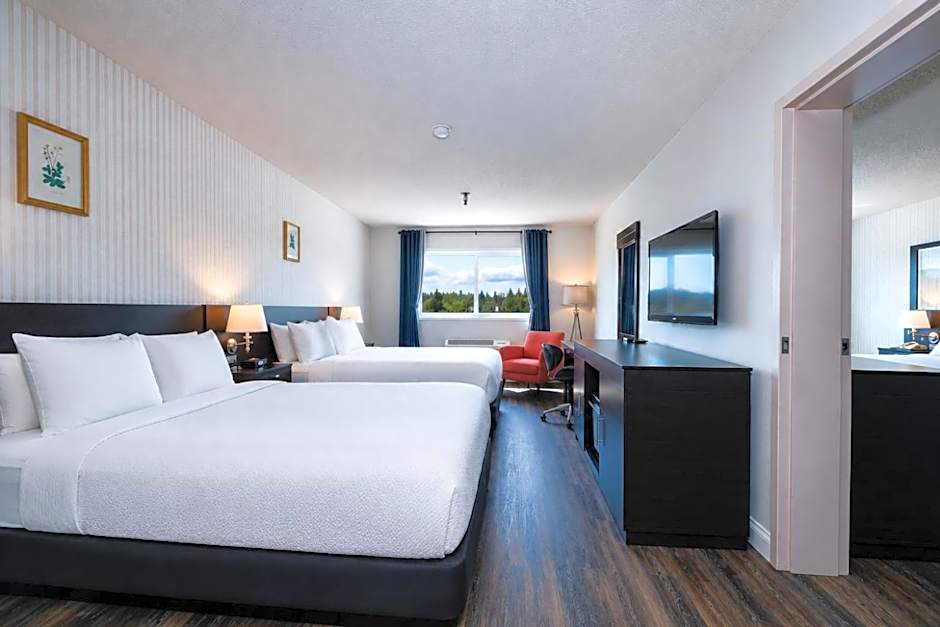 Hotel International