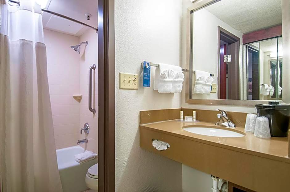 Fairfield Inn & Suites by Marriott Dallas Dfw Airport South/Irving