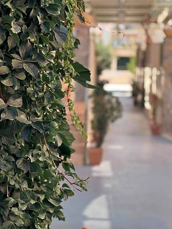 Ammoudara Beach Hotel Apartments